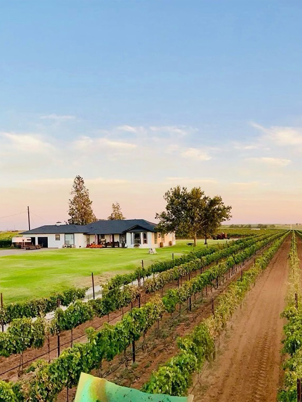 Vineyard+Building-Mobile